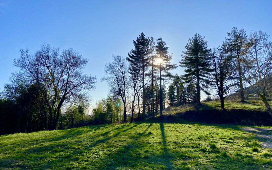 Votre nouveau foyer au coeur de la nature à Saint-Marcellin